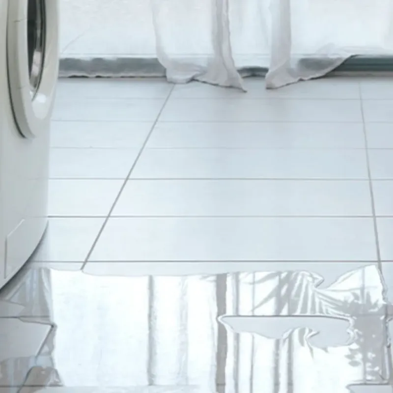 Appliance Leak Cleanup in Bethany Beach, DE